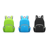 16631 Nylon Or Polyester Customized Foldable Backpack